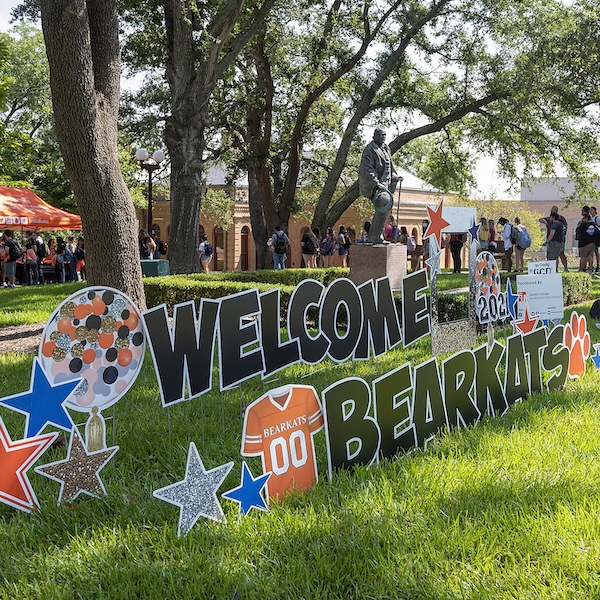 Bearkat Picnic